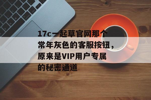 17c一起草官网那个常年灰色的客服按钮,原来是VIP用户专属的秘密通道